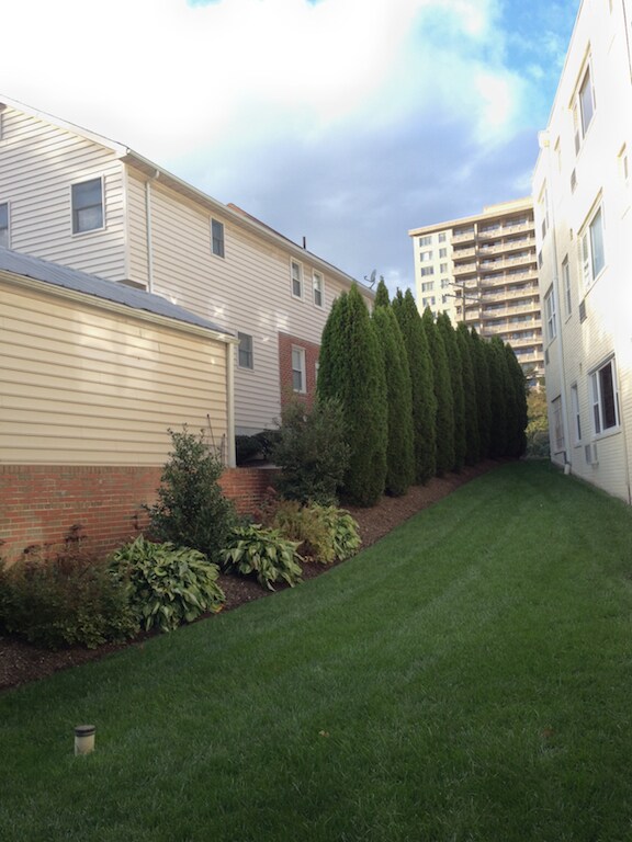 7036 Strathmore Street Unit 111, Chevy Chase, MD 20815 Apartments in