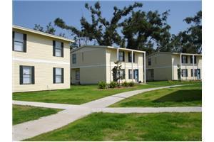 Primary Photo - Magnolia Ridge
