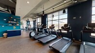 This contemporary fitness center is designed to provide a comprehensive workout environment within a single, open-plan floor. The space is characterized by its bold interior color palette, featuring deep navy and vibrant teal accent walls that lend a sleek, energizing atmosphere throughout.

The cardio zone is prominently positioned along a wall of large, floor-to-ceiling windows, allowing abundant natural light to fill the space while offering outdoor views. This area is outfitted with multiple treadmills, elliptical trainers, and stair climbers, all arranged for ease of use and circulation.

A dedicated free weights area features a full rack of dumbbells displayed in front of a wall-to-wall mirror, accompanied by adjustable benches and a cable machine, making it well-suited for strength training. The rubber-flecked flooring throughout provides both durability and cushioning underfoot.

Overhead, exposed ductwork and industrial-style pendant lighting contribute to the modern, urban aesthetic, while ceiling fans promote air circulation across the open floor plan. The facility is accessed through a set of glass double doors framed by frosted-glass windows, providing a degree of privacy while maintaining visual connectivity to adjacent spaces. The overall design balances functionality with a polished, contemporary finish.