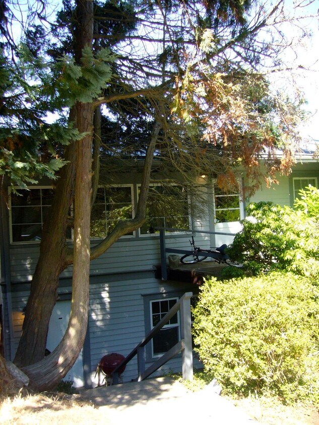 Primary Photo - Cox, 709 N Forest Street