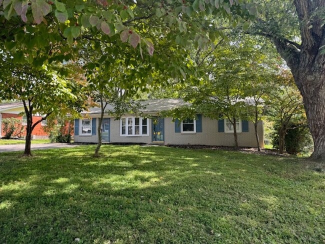 Building Photo - South AVL - 3/2 with Sunroom and Flex Space!