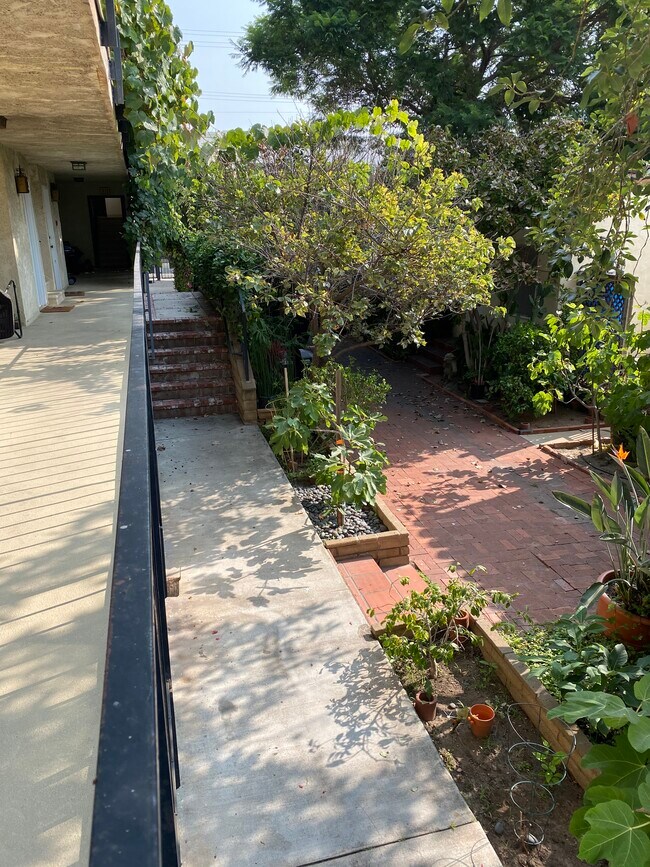 View of Patio - 1427 Euclid St