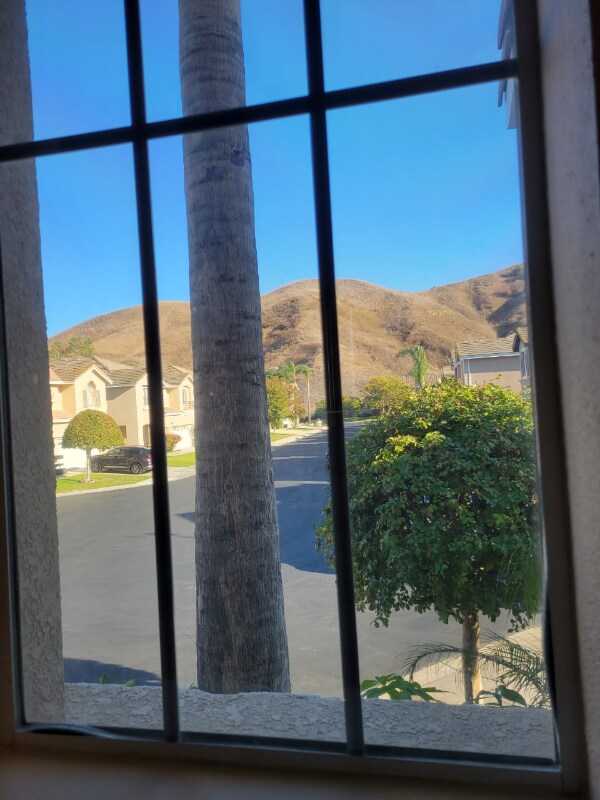 Foto del edificio - 4343 Jasmine Hill Ct