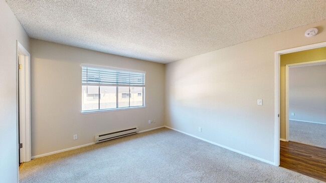 Interior Photo - Birch Creek