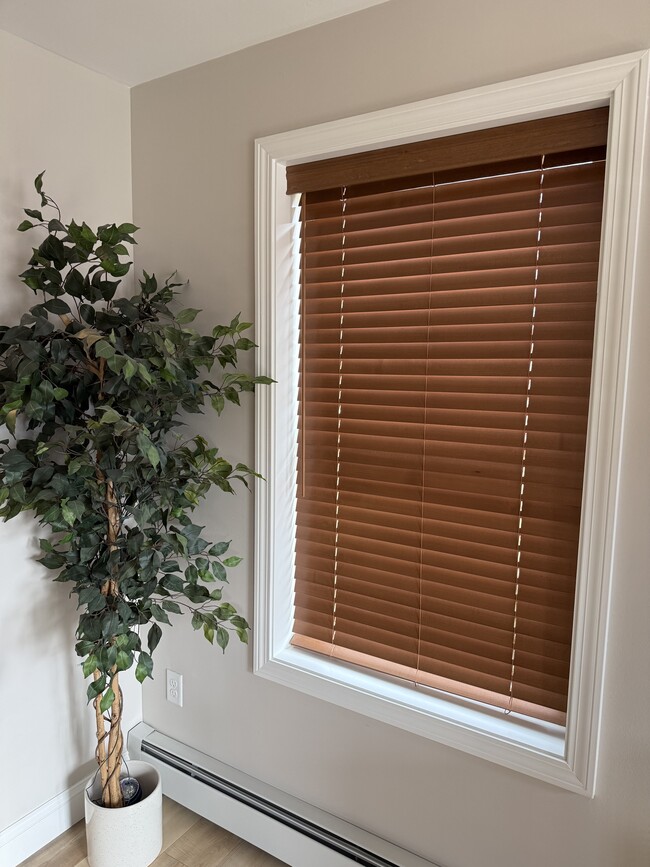 Foto del edificio - 69 Wildwood Dr