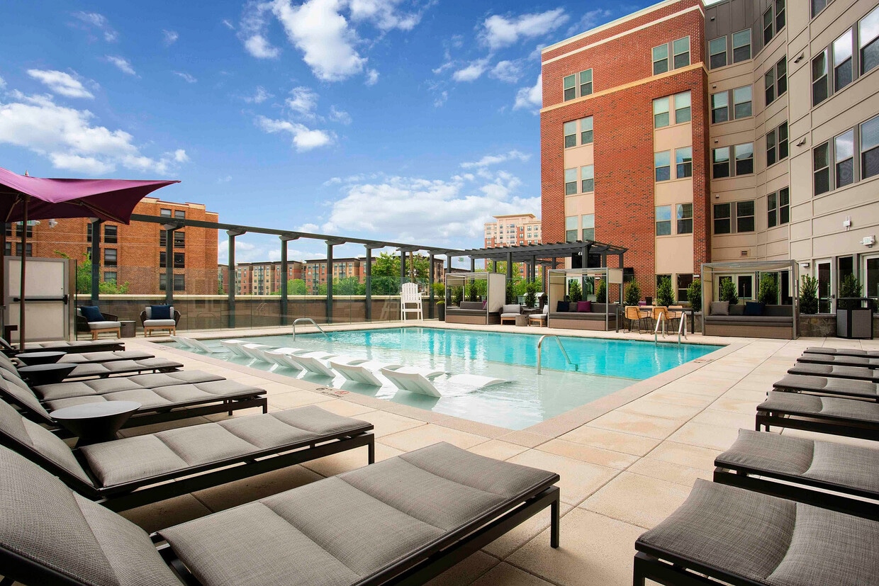 Relax by the sparkling pool with luxurious in-water loungers, shaded cabanas, and skyline views. - The Alloy