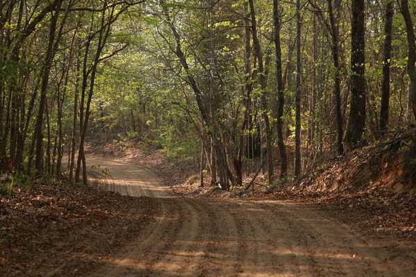 30 miles of beautiful trails - 203 Three Runs Plantation Dr