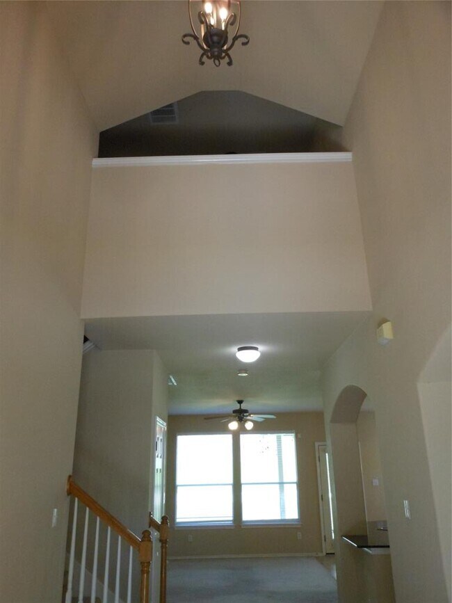 Foto del edificio - 40 Cypress Knee Ln