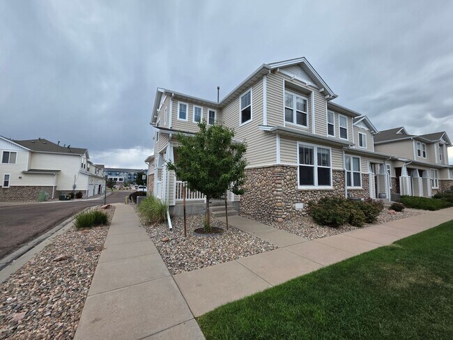 Building Photo - Stunning 4 Bed 3 Bath Home Near Stetson Hi...