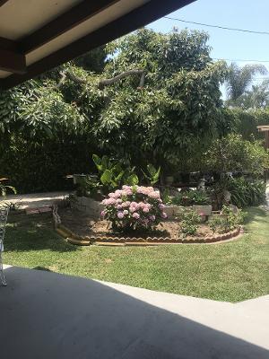 back yard - 11907 Brookhaven Ave