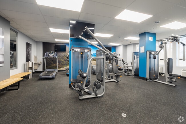 salle d'exercice - Sophia