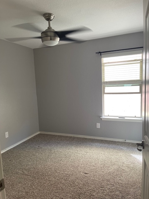 Foto del edificio - 5160 Britton Ridge Ln
