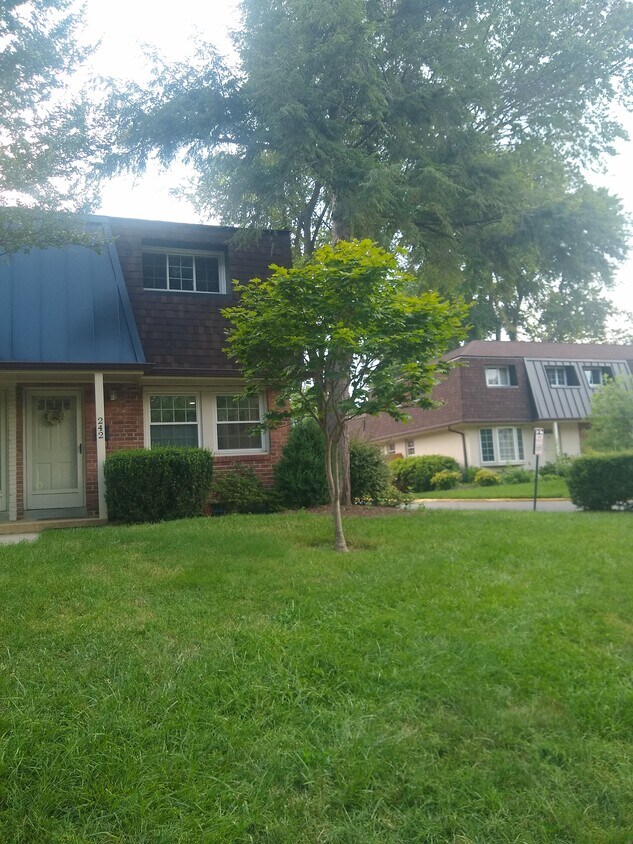 Front Yard 1 - 242 S Virginia Ave