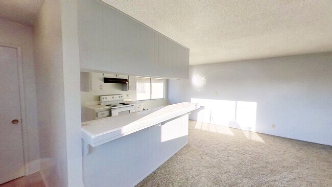 Kitchen view - 58 La Fresa Ct