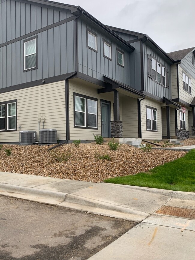 1691 Grand Ave, Windsor, CO 80550 Townhome Rentals in Windsor CO