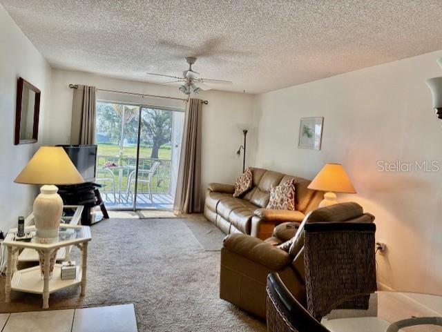 Foto del edificio - 4703 1st Ave Ct W