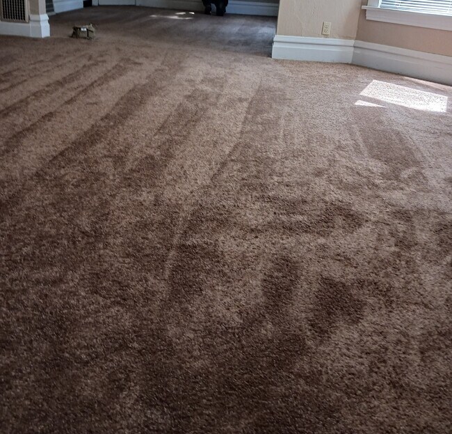 new carpet and pad in connected living room /diningroom - 637 S 2nd St