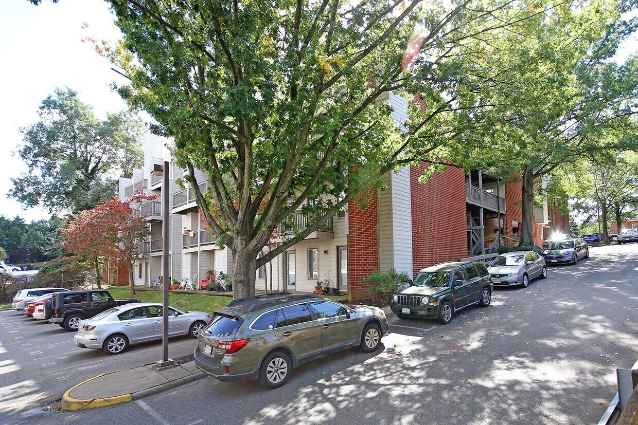 Primary Photo - Proximity The UVA Corner & Main Grounds (L...