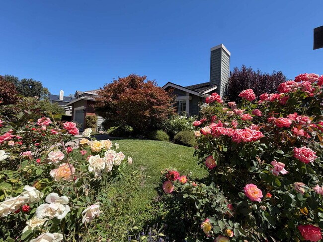 Foto del edificio - "Charming 4-Bed Oasis with Granite Touches with Tennis and Poolside Bliss steps away in Danville!"