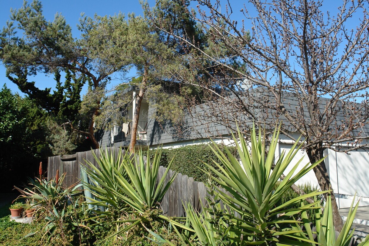 Building Photo - 1137 Oakmont Dr