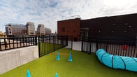 This rooftop pet area is a dedicated outdoor amenity designed with pet owners in mind. The space is surfaced with lush artificial turf, providing a clean and comfortable area for dogs and other pets to play and exercise regardless of weather conditions. Secured by sturdy black metal fencing with a gated entry, the area ensures pets remain safely contained while enjoying the open-air environment.

The space is equipped with agility and enrichment features, including orange traffic cones with a horizontal bar for jumping exercises and a teal tunnel for pets to run through. These elements make the area functional for both casual play and light agility training.

The rooftop setting offers open views of the surrounding urban skyline, with modern commercial buildings visible in the background beneath a partly cloudy sky. An adjacent covered patio area with large windows connects to the interior, providing convenient access. The combination of a safe, enclosed layout, pet-focused amenities, and elevated city views makes this a well-appointed outdoor space for urban pet owners.