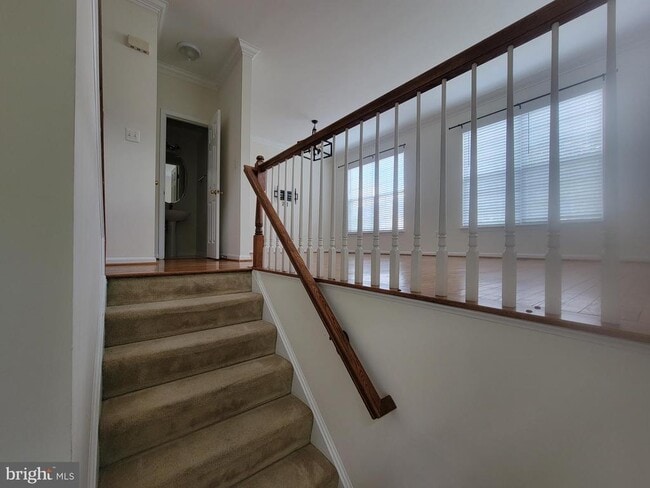 Building Photo - 20872 Ivymount Terrace