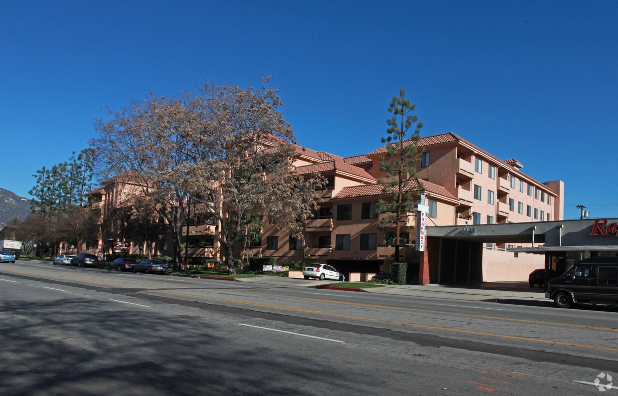 Primary Photo - Olive Court Apartments