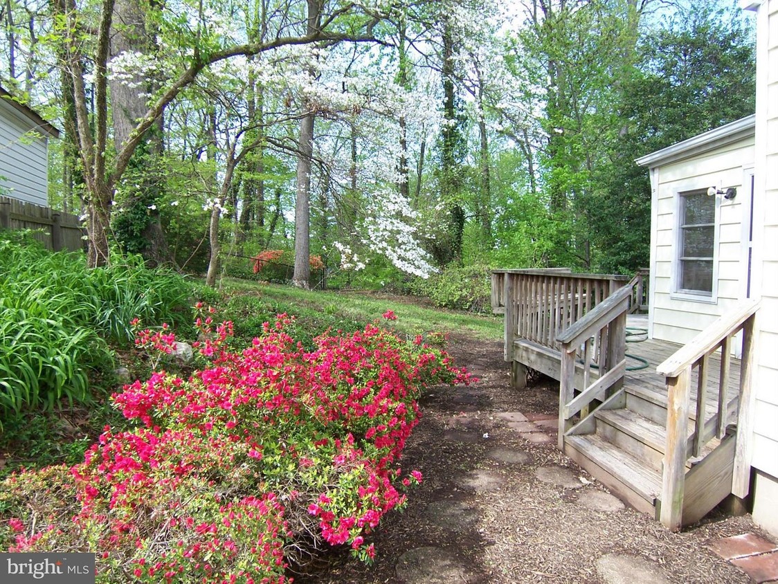 Primary Photo - 3830 Pinewood Terrace