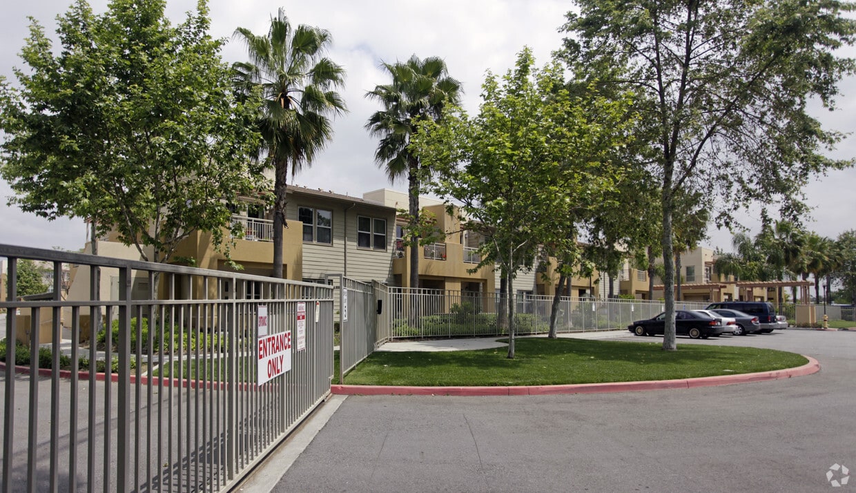 Primary Photo - Palm Terrace II