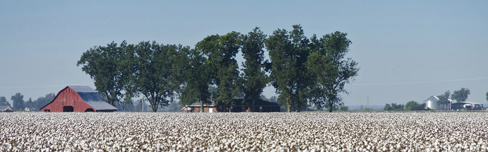 Picture of Jonesboro