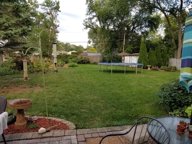 Backyard - 6217 60th Ave