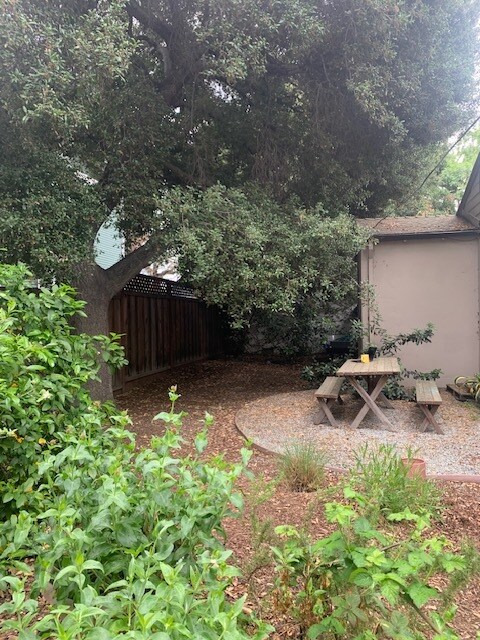 Side yard - 585 California St