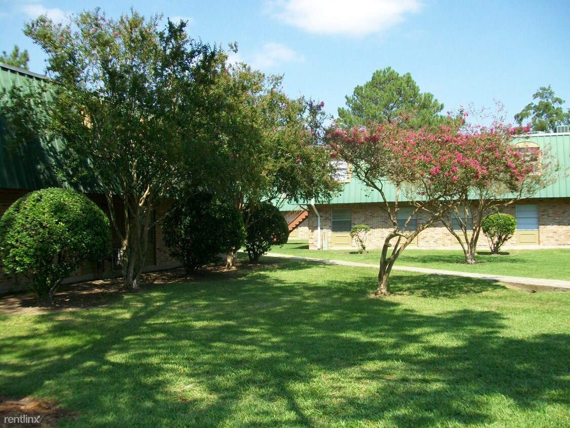 Primary Photo - 211 Louie St