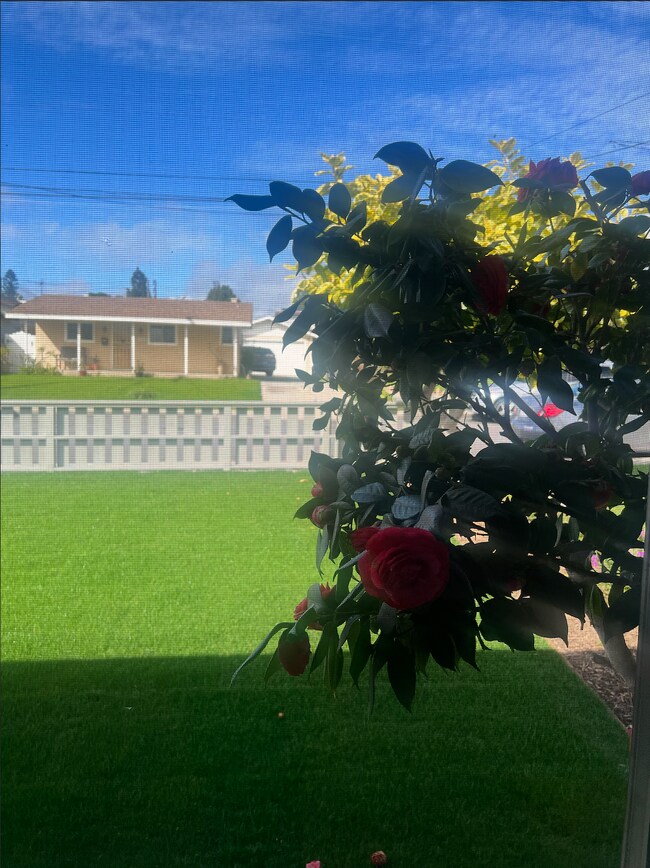 Foto del edificio - 214 W Acacia Ave