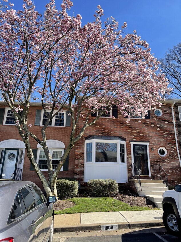 Primary Photo - 1804 N George Mason Dr
