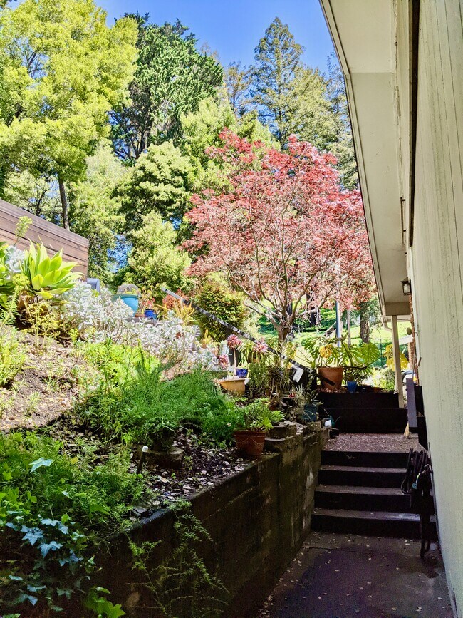 Foto del edificio - 6201 Wood Dr