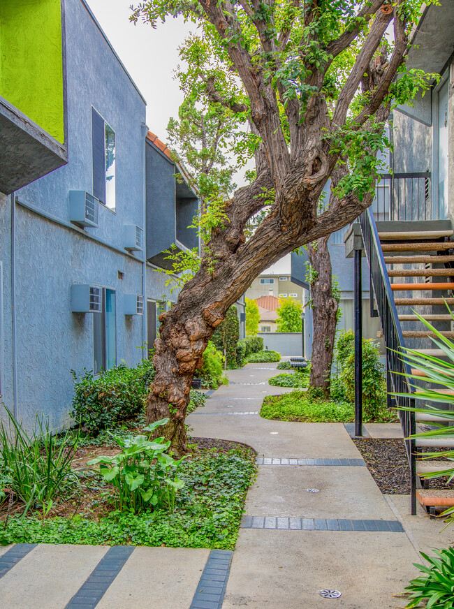 Courtyard - La Fontana Apartments