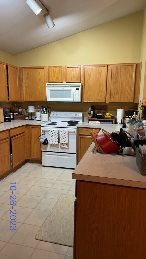 929 Silverstone Dr Unit 929, Carpentersville, IL 60110 Condo for Rent