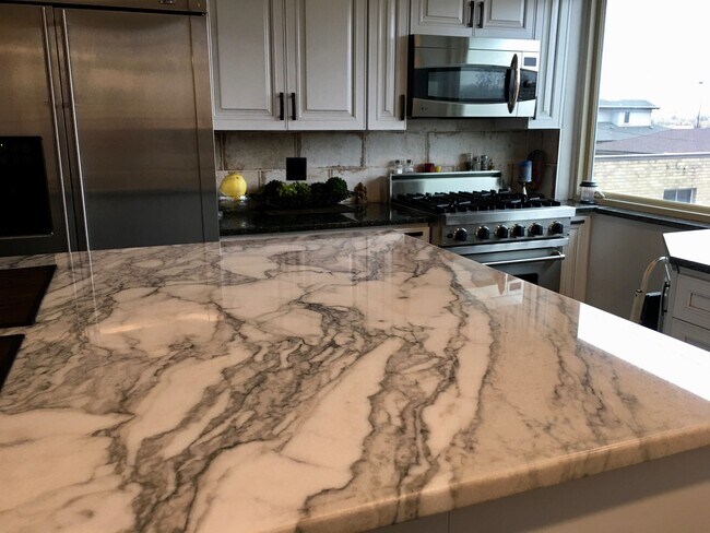 Gourmet kitchen Viking stove - 2480 Yates St