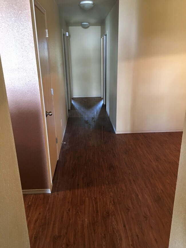 Foto del edificio - 903 Meadowlands Dr