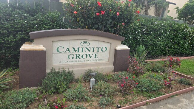 Building Photo - 2678 Caminito Secoya