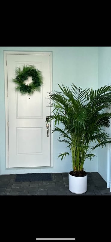Foto del edificio - 909 Seabright Ave
