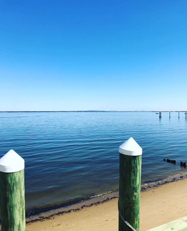 180 degree panoramic bay view from back deck - views of sailboats, bridges and NYC - riparian rights to moor your boat - 55 1st St, Apt 1