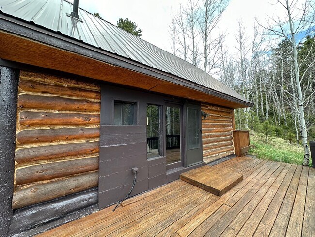 Building Photo - Cabin in Bailey!!