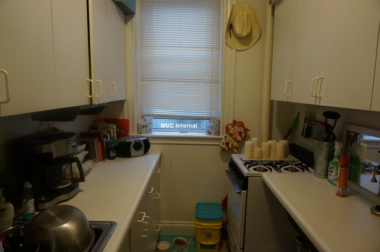 Primary Photo - 6 Orkney Rd