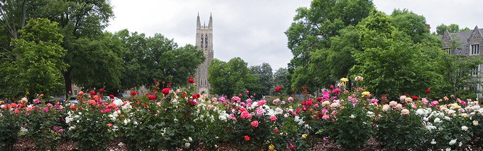 Picture of Durham