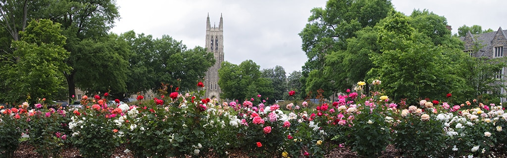 Raleigh vs. Durham