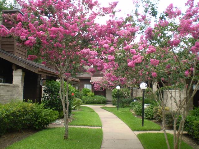 Foto del edificio - 2510 Grants Lake Blvd