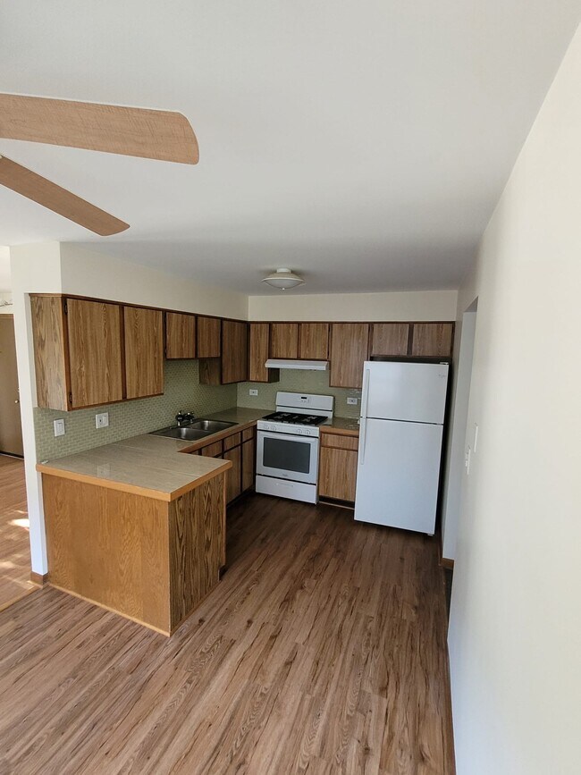 4627 Eberly Ave Unit 1S, Brookfield, IL 60513 Condo for Rent in