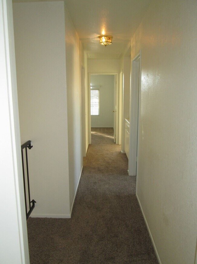 Foto del edificio - 4 br, 2.5 bath House - 5003 Surf Bird St.
